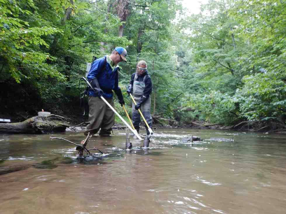Two technicians conduct a backpack electrofishing survey.